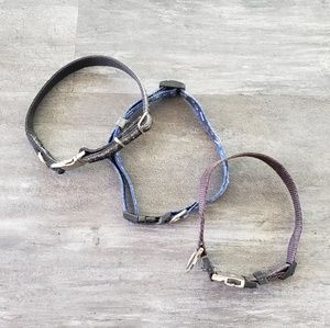 Black Blue PetMate Dog Collar 3 Bundle